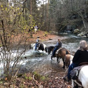 243123234 10158287173228015 6628845672475904728 n-visit-staunton-va