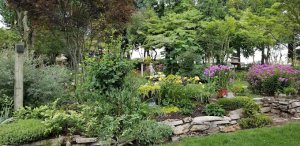 Andre Viette Nursery-visit-staunton-va