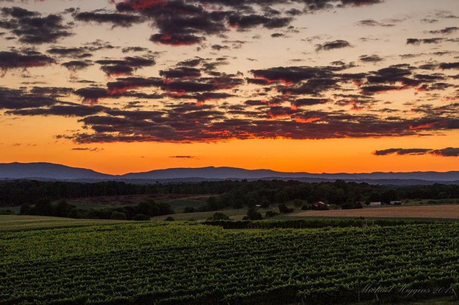 Barren Ridge Vineyards Visit Staunton
