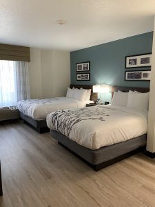 Double Queen Room 1-visit-staunton-va