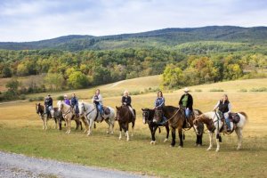 North Mountain Fall 2019 North Mountain Fall 2019 cowgirl 768x512 1-visit-staunton-va