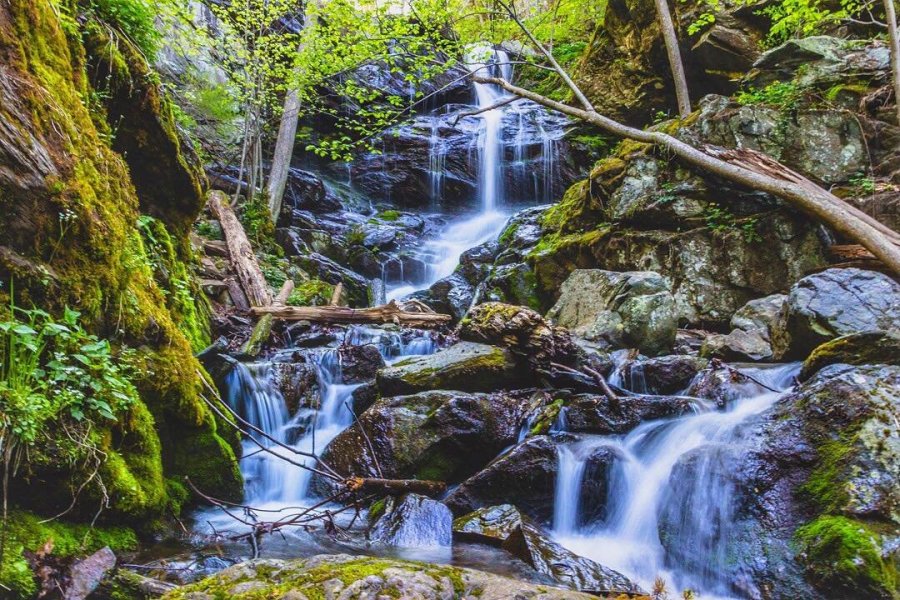 Shenandoah National Park | Visit Staunton