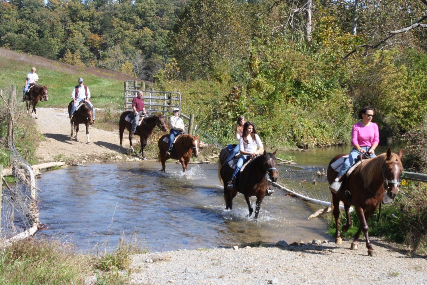 Star B Stables - Visit Staunton