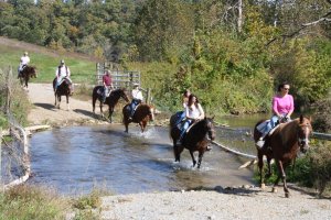 Star b stables-visit-staunton-va