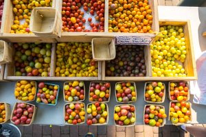 ZakSuhar Staunton Farmers Market 1-visit-staunton-va