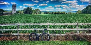 Bike the Valley e1664919275390-visit-staunton-va