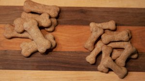 Well Balanced Paw2-visit-staunton-va