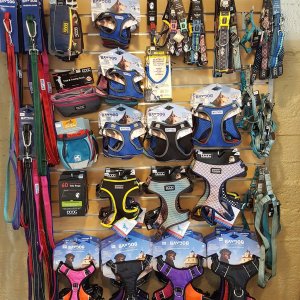 Well Balanced Paw6-visit-staunton-va