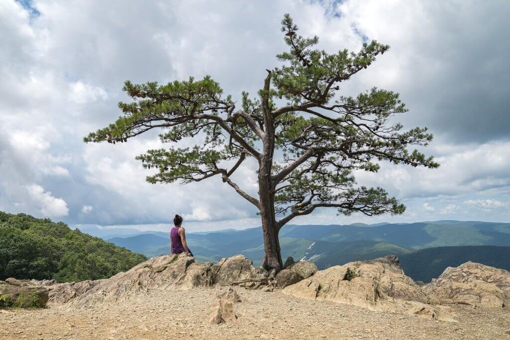 Zaksuhar stauntonblogpost 069-visit-staunton-va