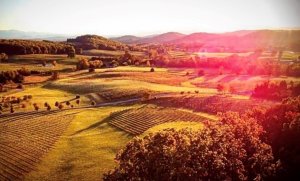 E2-visit-staunton-va