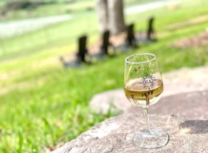 Ecco Adesso Vineyards-visit-staunton-va