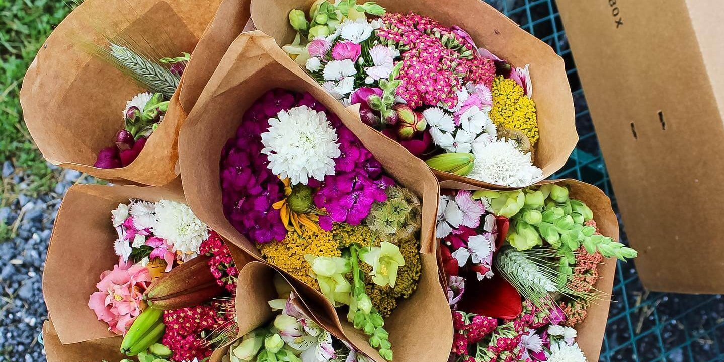 Bulk Flowers – Harmony Harvest Farm