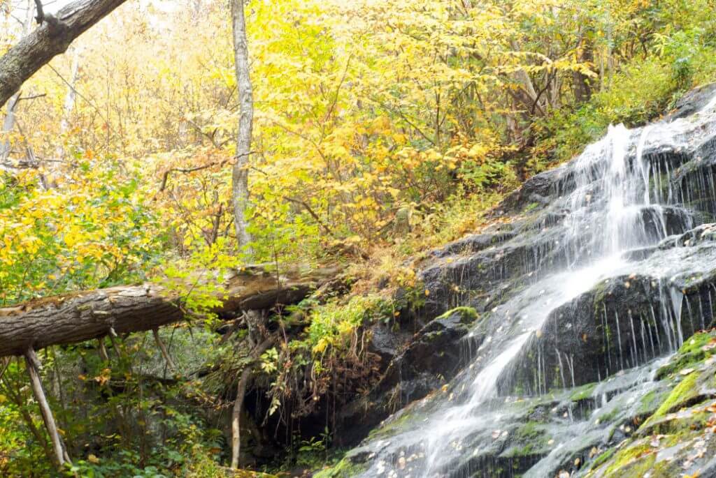 Crabtree Falls is the highest in the Virginia Blue Ridge, and a very popular hiking destination. Karen Blaha 