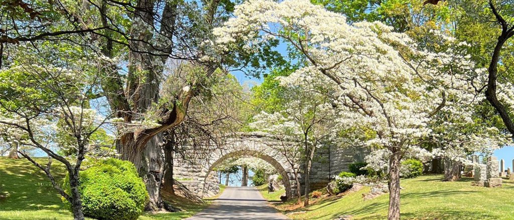 Callnovahome instagram 1770 ig 17891000864627284 1-visit-staunton-va