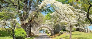 callnovahome Instagram 1770 ig 17891000864627284 1-visit-staunton-va