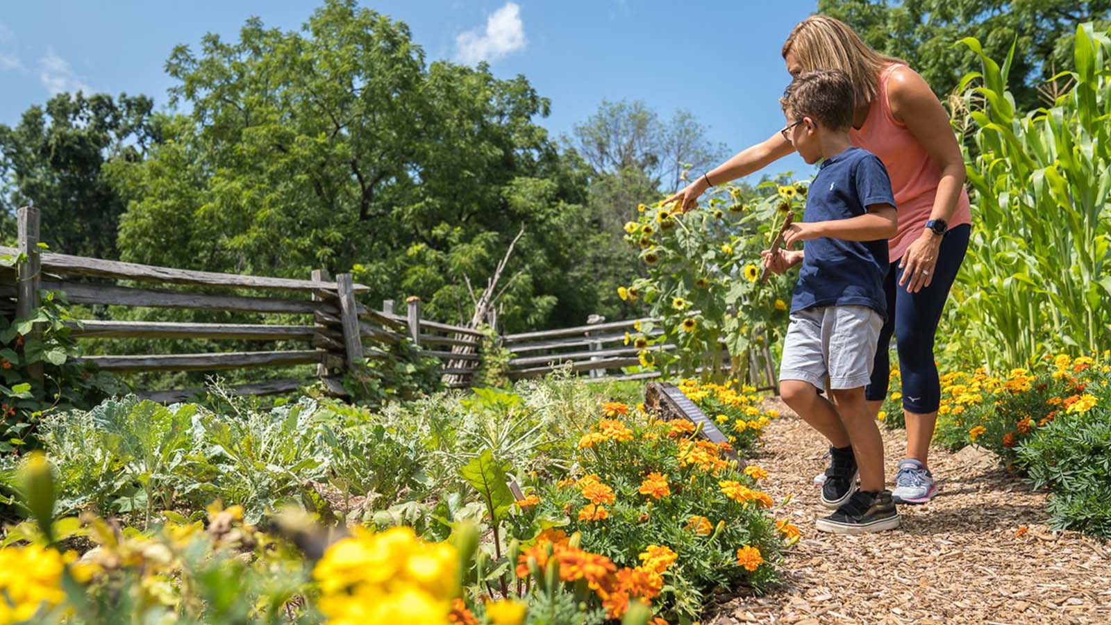 A mother and son look at flowers at a farm in Staunton Virginia 