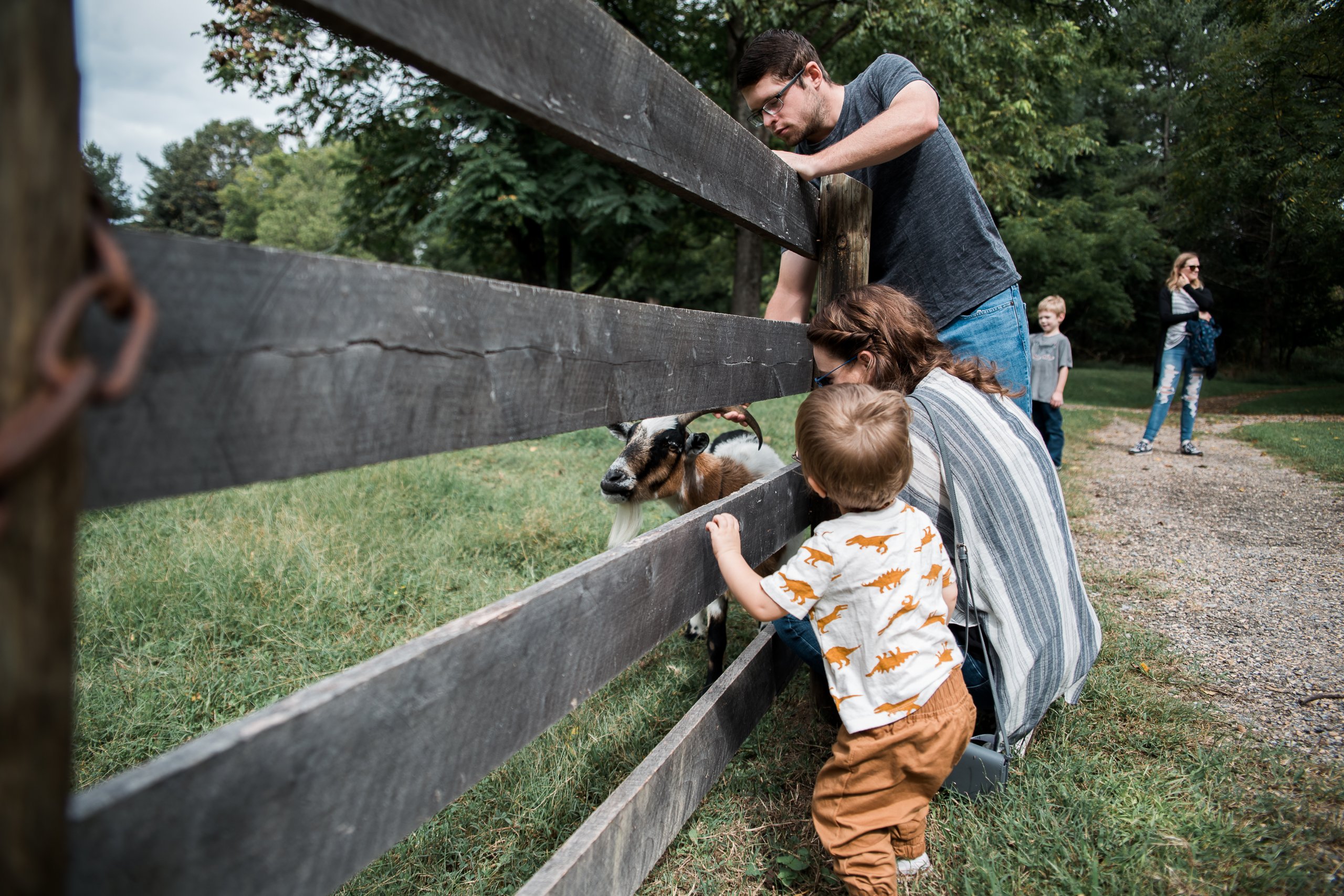 family of 3 pet a small goat inside a fence