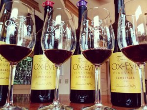 Ox Eye Vineyards 2-visit-staunton-va