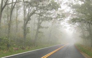 Skyline Drive 2-visit-staunton-va