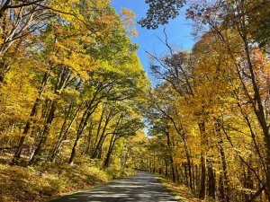 Skyline Drive 3-visit-staunton-va