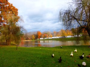 Walnut Hills Campground2-visit-staunton-va