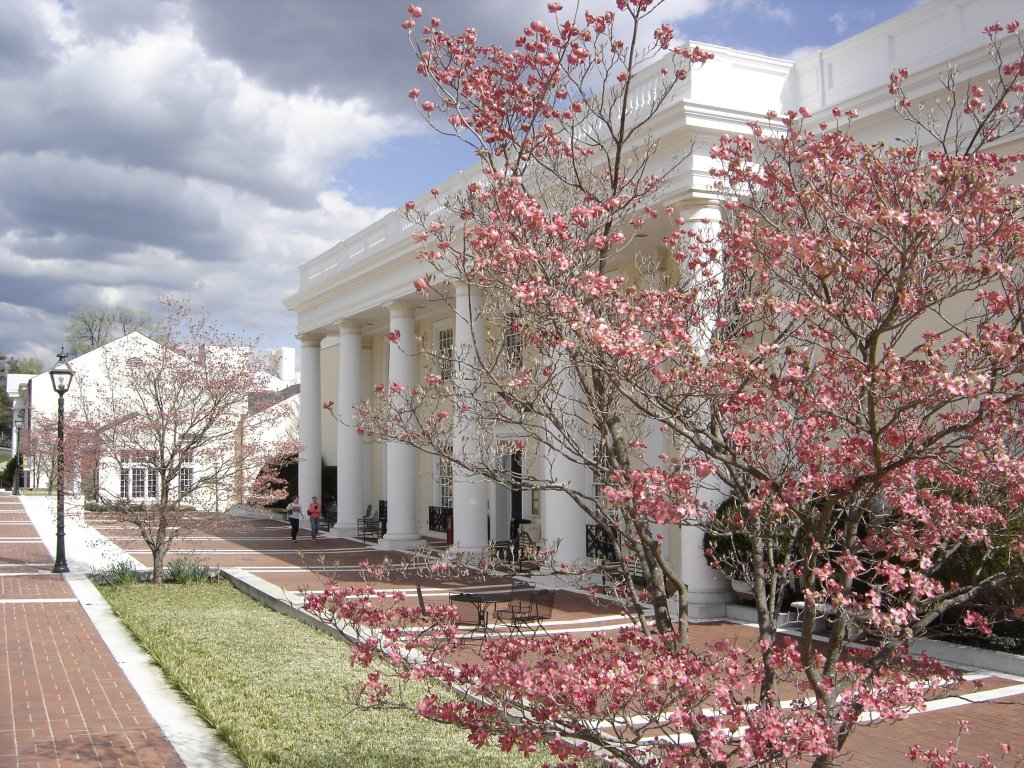 Marybaldwinspring-visit-staunton-va