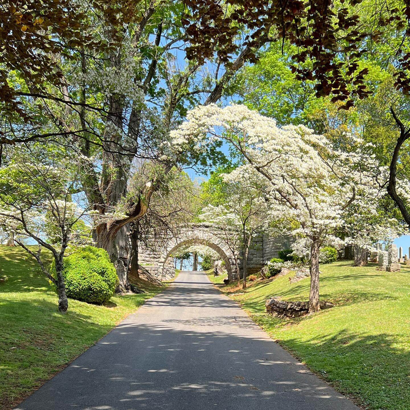 Discover the secrets in Staunton State Park