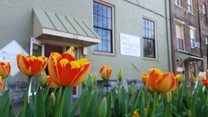 bluemountaincoffees Instagram 1770 ig 18092922439152050-visit-staunton-va