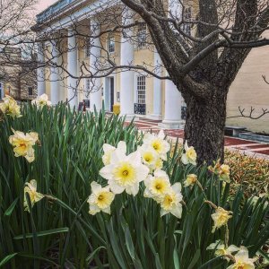 girlgoesvirginia Instagram 1770 ig 17887763771537037-visit-staunton-va