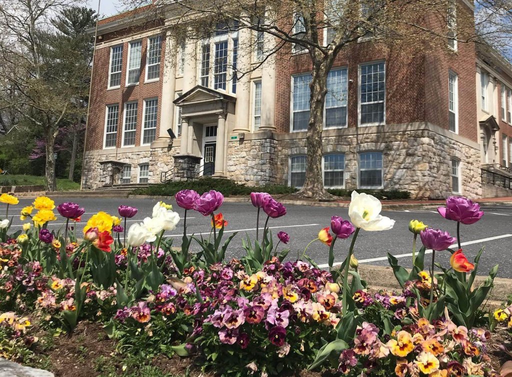 Littlehouseinstaunton instagram 1770 ig 17863606519764707 e1683209833430-visit-staunton-va