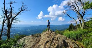 Take it Outside in Staunton