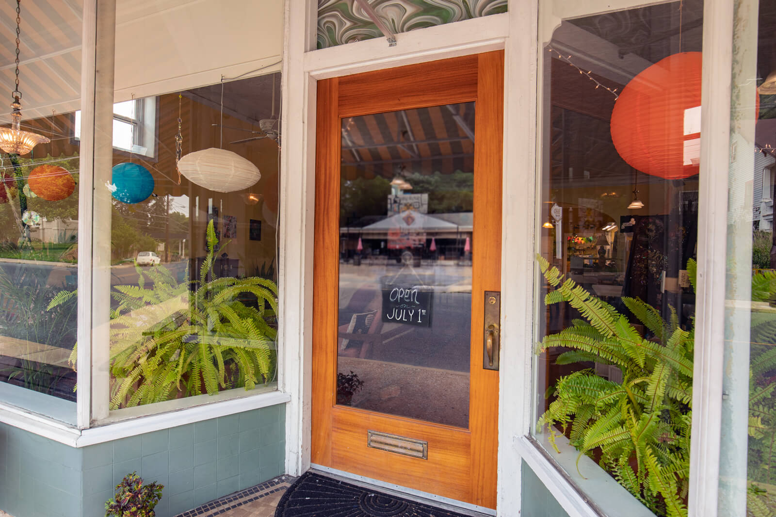 Plants in a window of a store front in Staunton, VA with a sign that says 