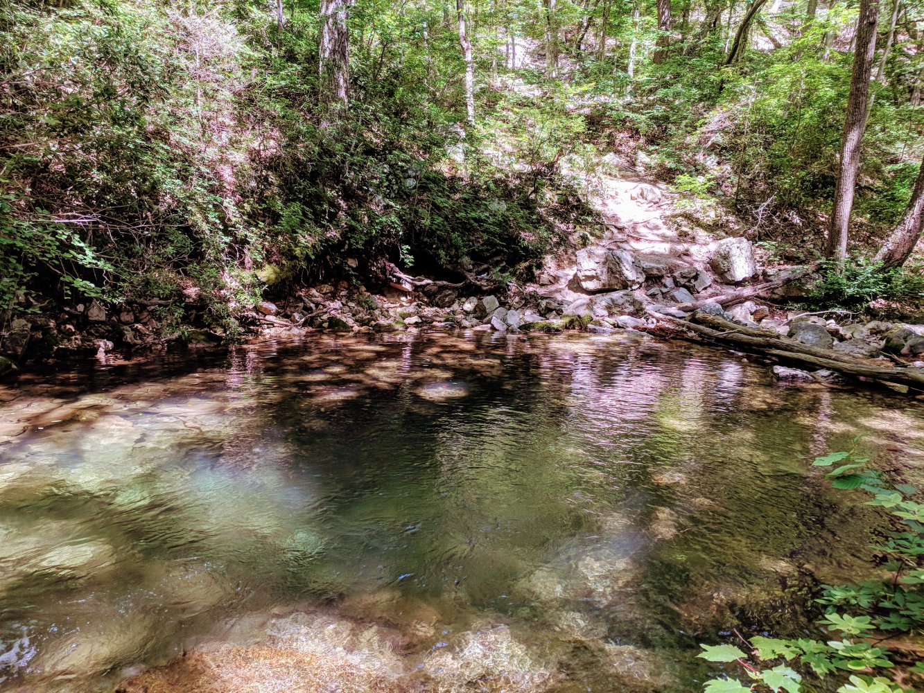 Staunton's Swimming Holes, Waterfalls, Camping, and Other Summer Fun