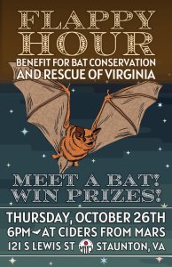 FLAPPY1023FB-visit-staunton-va