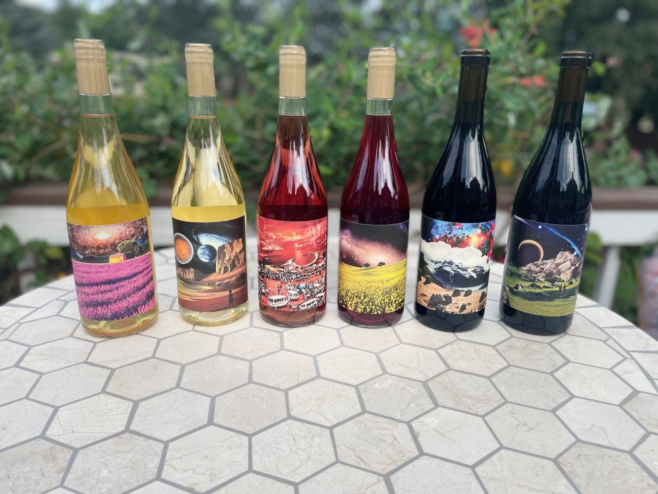 Star Party Winery Visit Staunton