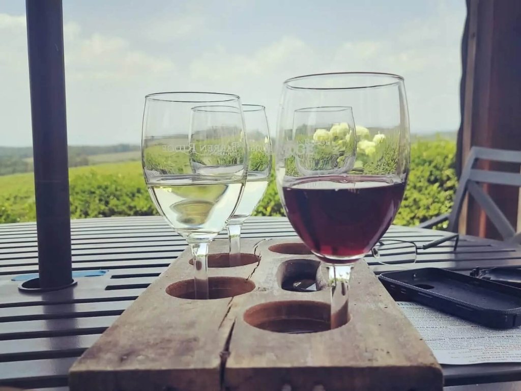 Blackwomenwhowine instagram 1770 ig 17917001500881108 e1695924760461-visit-staunton-va