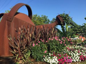 watering can-visit-staunton-va