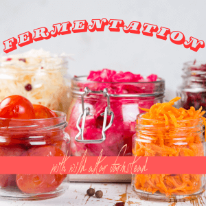 Stauntons, VA's Altar Farmstead's Fermentation poster with vegetables in different size glass jars