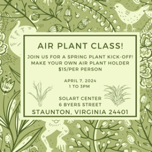 Air plant class-visit-staunton-va