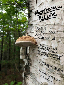 Mushrooms small 1-visit-staunton-va