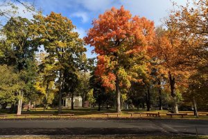 Things to See and Do As the Leaves Change in Staunton