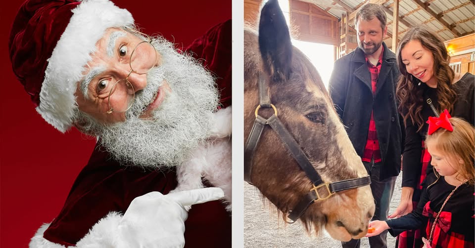 event 35709 santa in the stables w pints ponies hot chocolate bar-visit-staunton-va