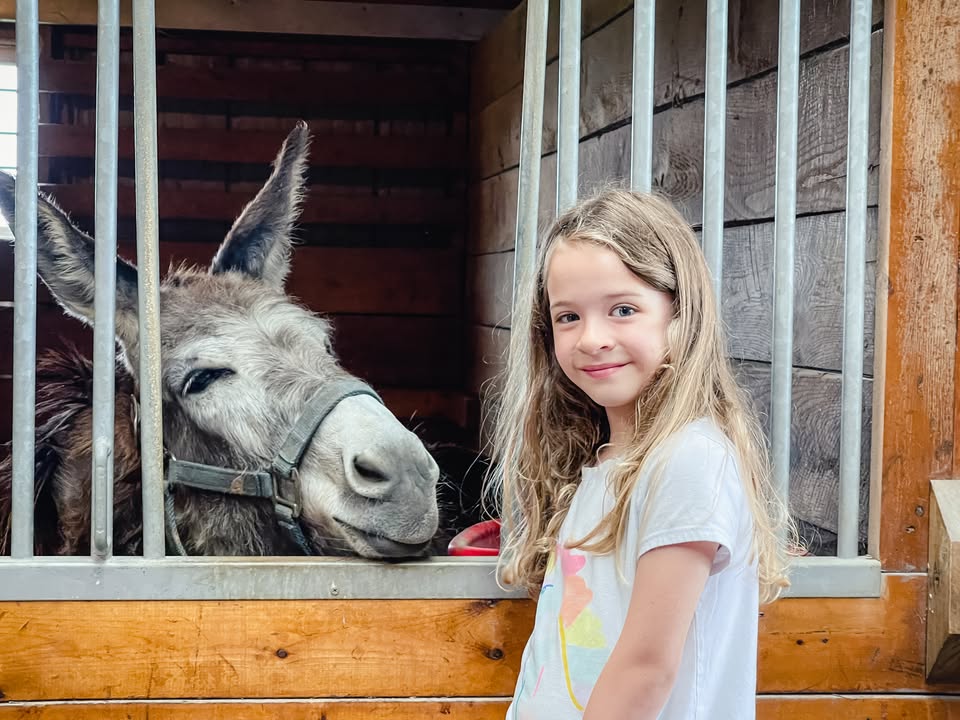 event 37828 november pints ponies-visit-staunton-va