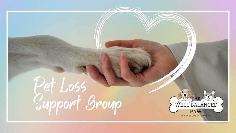 event 38153 pet loss support group by the well balanced paw-visit-staunton-va