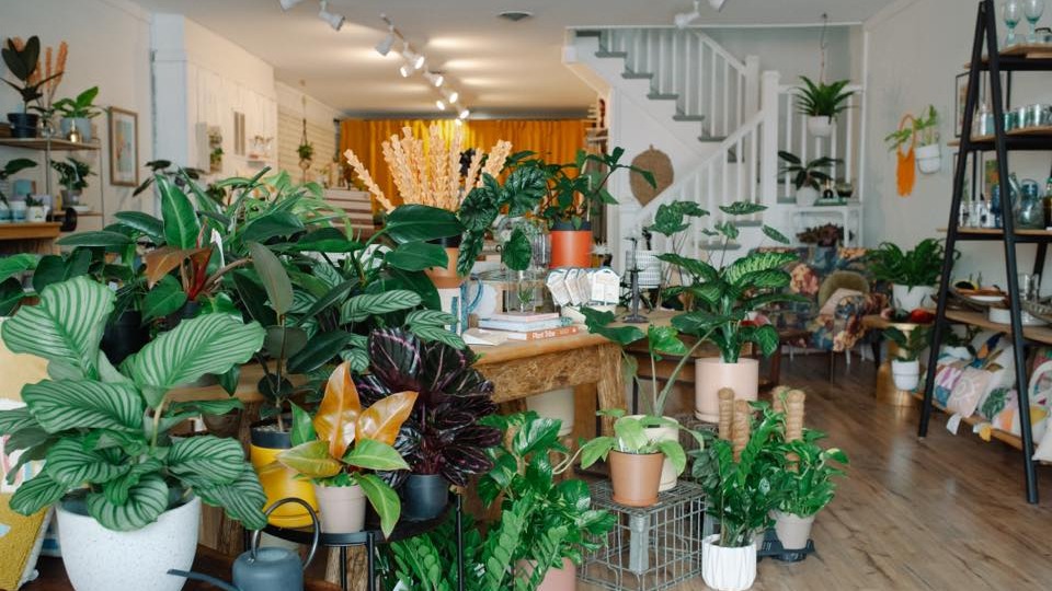 Event 44381 sunday yinyasa yoga at 400-visit-staunton-va