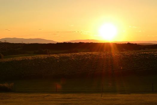 Event 45008 sunshine wine thursdays happy hour-visit-staunton-va