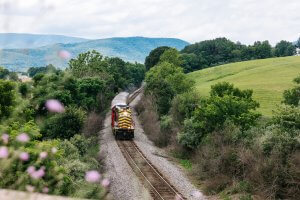 Hop aboard the virginia scenic railway in downtown staunton