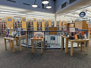 Event 45695 teen vr grades 6 12-visit-staunton-va