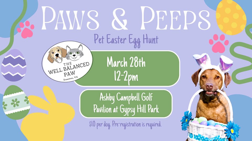Event 46641 paws peeps pet easter egg hunt by the well balanced paw-visit-staunton-va