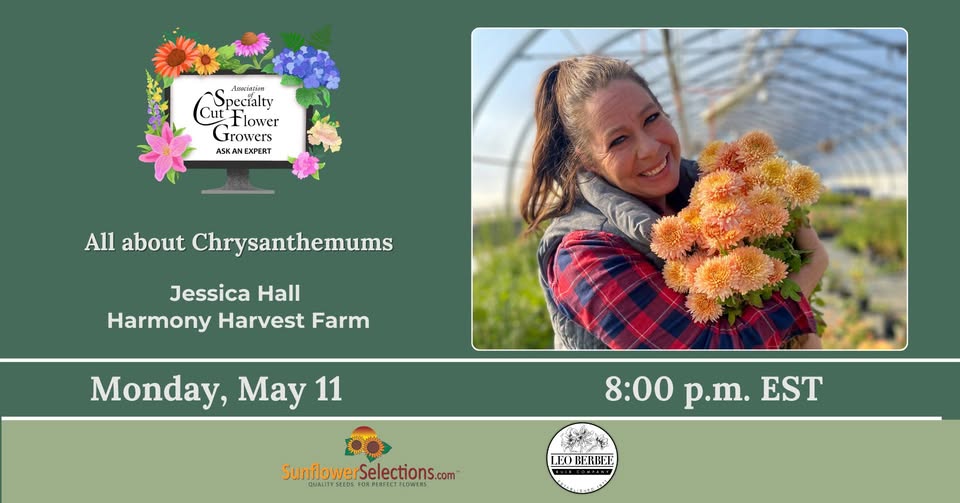 Event 51412 ascfg ask an expert all about chrysanthemums-visit-staunton-va